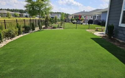 Thinking About Installing Artificial Grass? Here’s What You Need to Know