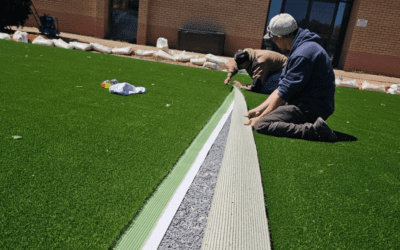 Artificial Grass Buyer’s Guide: Everything You Need to Know