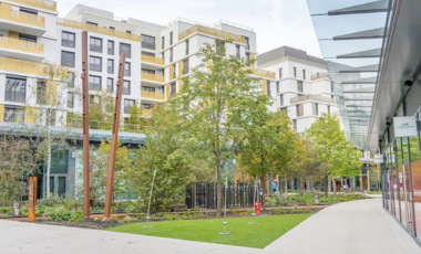 10 Commercial Applications for Artificial Turf